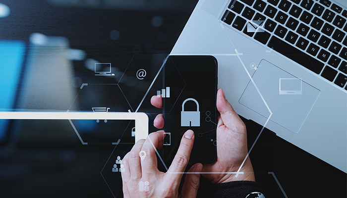 Reviewing the role and the growing importance of Data Privacy image